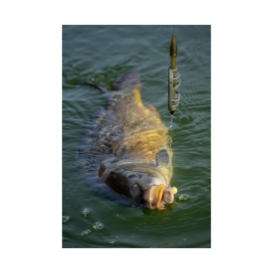 Wafter Sonubaits - Spike'um Wafter Meaty Mussel 8mm